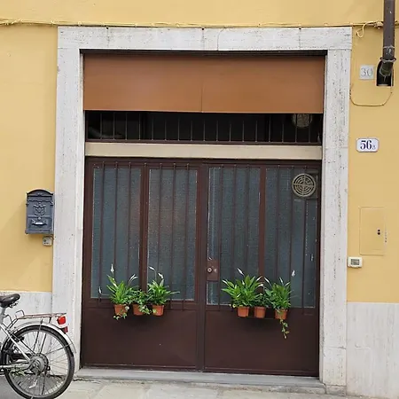 Bolognese House *
